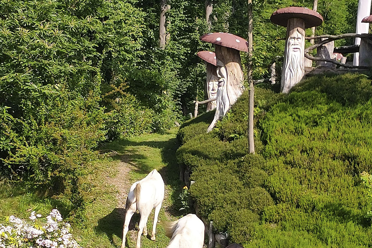 Un giardino di meraviglie