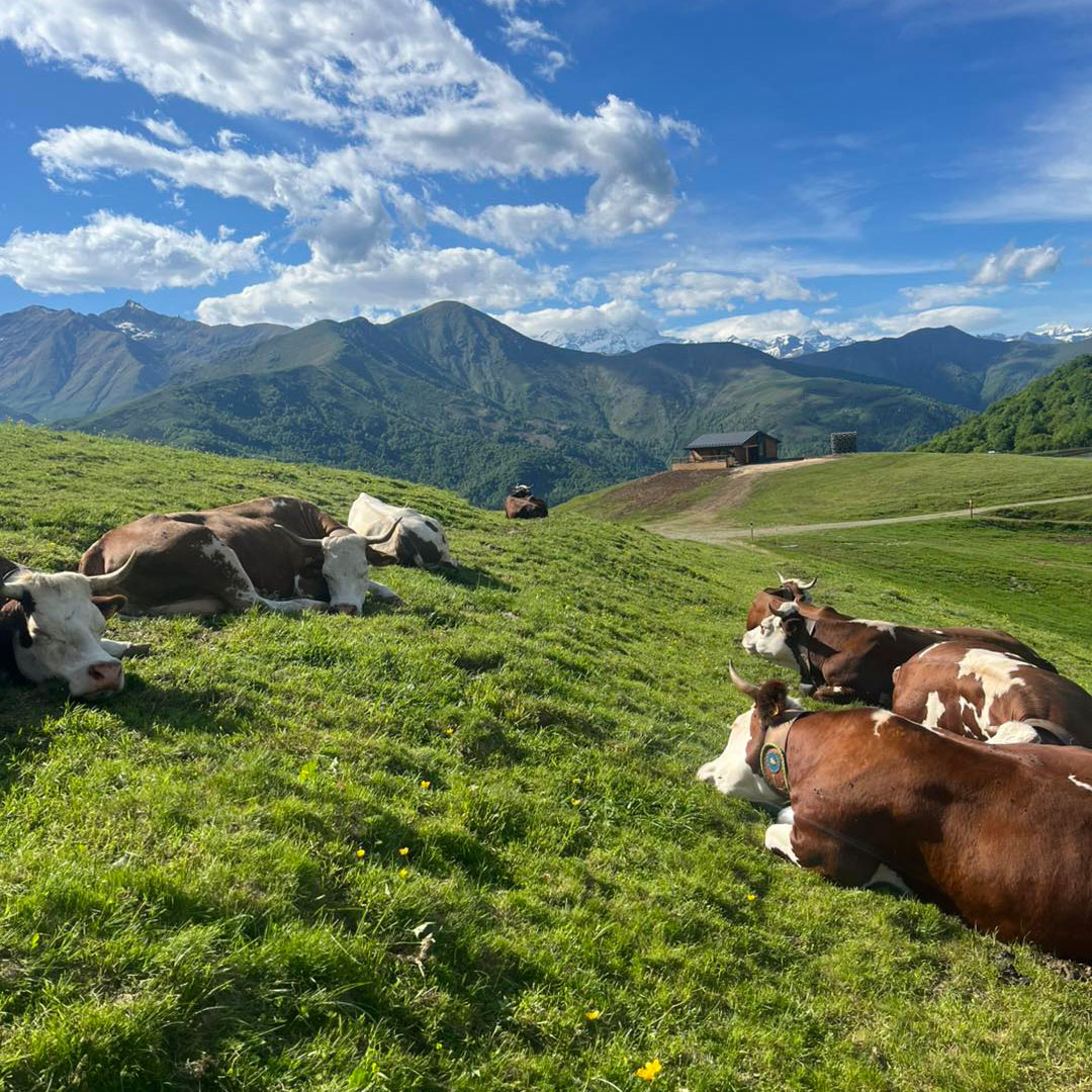 Alpe Moncerchio
