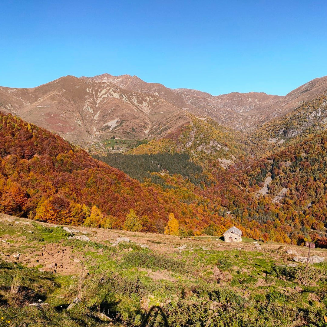 Bosco del Sorriso