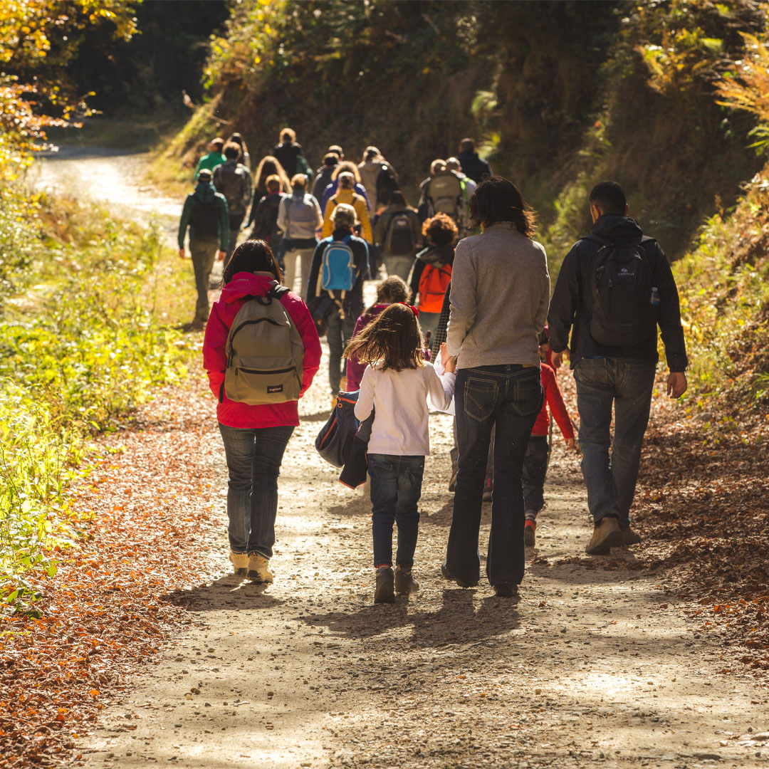 Passeggiate in gruppo