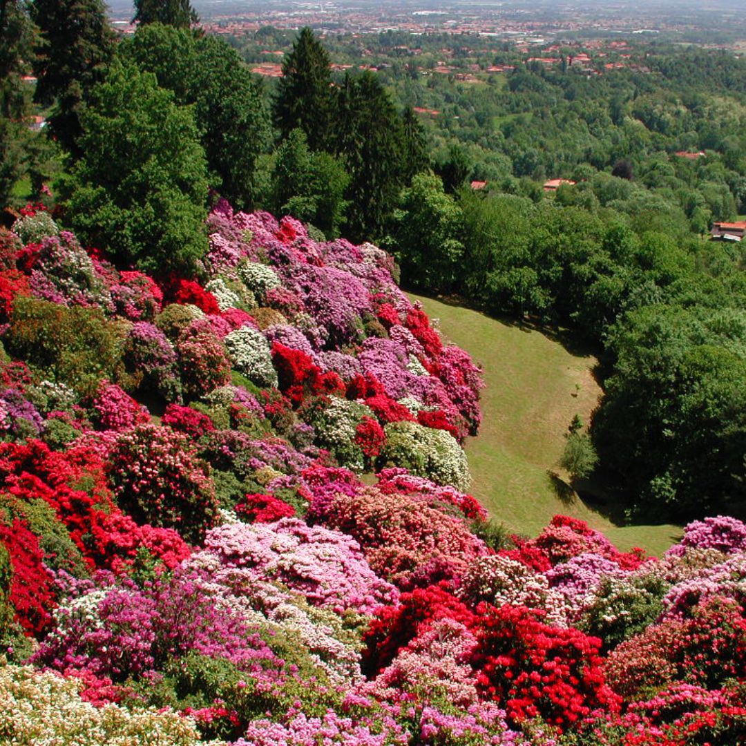 Il Parco della Burcina