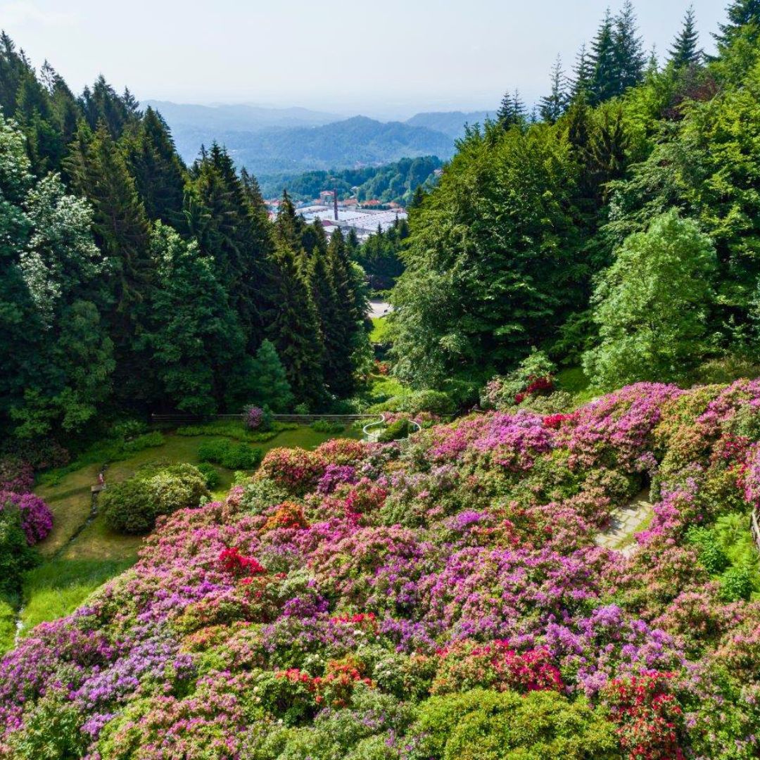 La Conca dei Rododendri